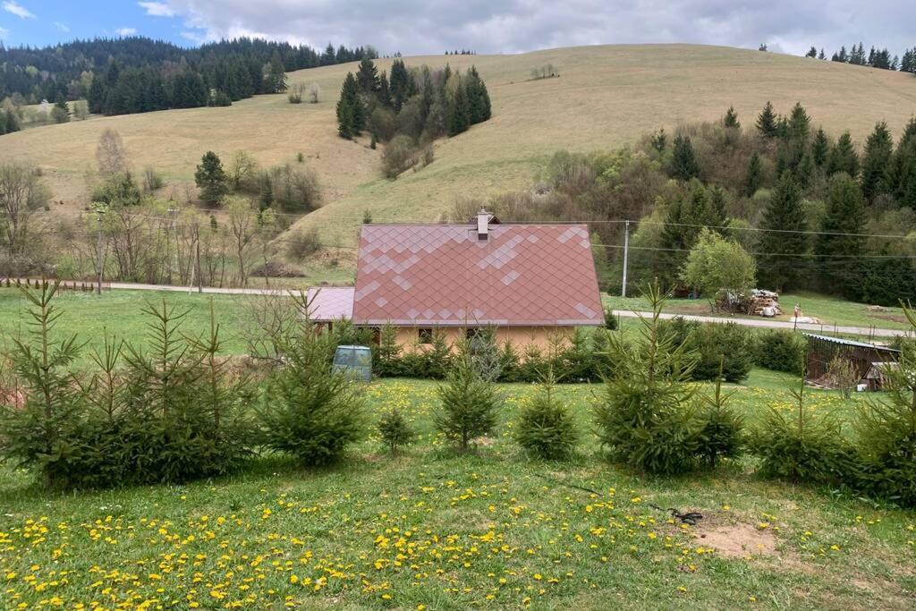Vila Domcek U Fera Zázrivá Exteriér fotografie